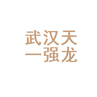 武漢天一強龍稅務代理 專業服務助力企業穩健發展